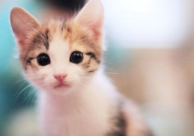 經(jīng)典說說和圖片5