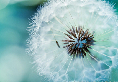 帶圖片的女生說說：百毒不侵的女漢子，哪個(gè)以前不是心軟成病