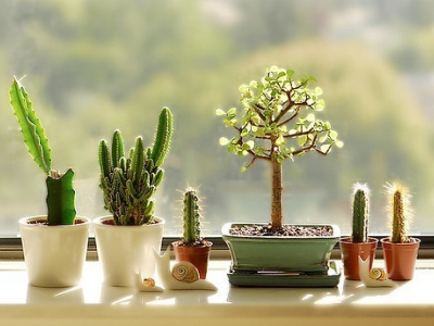 小清新說說圖片大全6