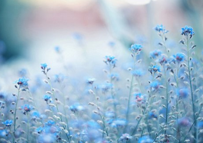 唯美古風(fēng)句子配圖片2