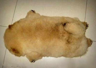 搞笑說(shuō)說(shuō)大全帶圖片5