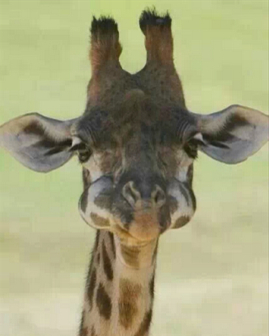 微信說說帶圖片：這個世界，看你二的人很多，陪你二的人很少10