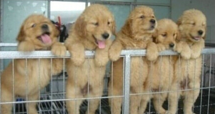 帶圖片的空間說(shuō)說(shuō)3