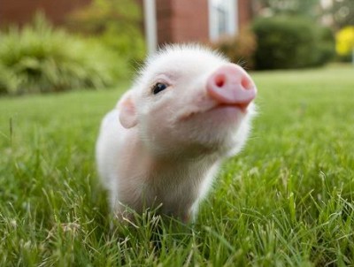 QQ空間搞笑說說帶圖片：誰說金錢買不來時間？網(wǎng)管，加兩塊錢！