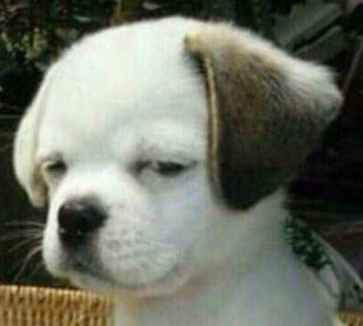 笑死人的說說加圖片：老師說我是攪屎棍，那么我同學(xué)是什么？1