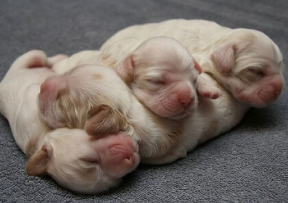 笑死人的說說加圖片：老師說我是攪屎棍，那么我同學(xué)是什么？14