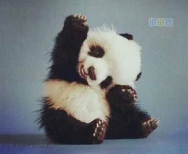 文字控說(shuō)說(shuō)加圖片7