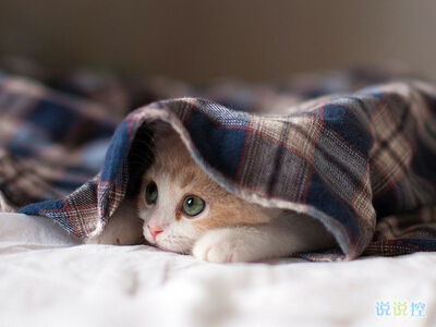 內(nèi)涵說(shuō)說(shuō)帶圖片：看過(guò)了你喜歡的人，才知道我是敗給了你的品位