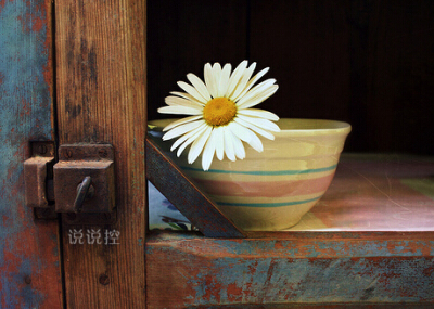 好聽(tīng)的英文說(shuō)說(shuō)帶圖片，有圖片的英文說(shuō)說(shuō)心情短語(yǔ)2