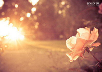 傷感說說圖片素材6