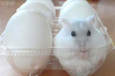 QQ逗比說說帶圖片5