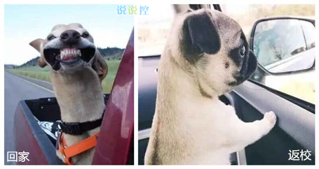 帶圖搞笑說(shuō)說(shuō)2