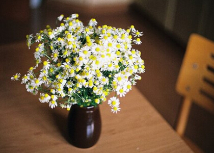 詩意說說帶圖片5