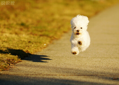 超拽空間說(shuō)說(shuō)帶圖片7