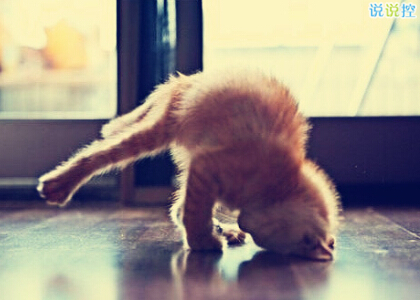 經(jīng)典說說圖片2