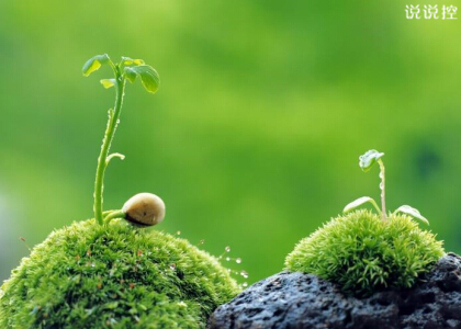 正能量文字帶圖2