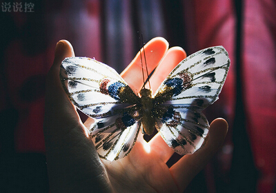 傷感QQ說(shuō)說(shuō)帶圖片4