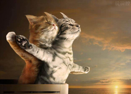 搞笑愛情說說心情短語，搞笑情感說說大全