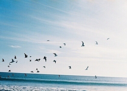 悲傷的說說帶圖片1