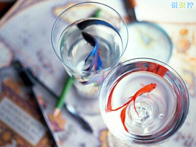 人氣說說帶圖片2