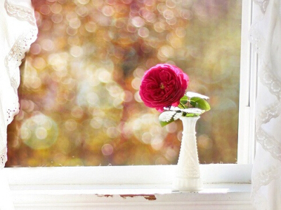 愛一個人的說說帶圖片7