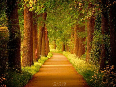 最有道理的說說帶圖片，有道理的文字說說帶圖片5