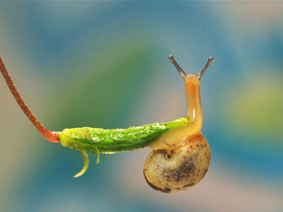 最有道理的說說帶圖片，有道理的文字說說帶圖片7