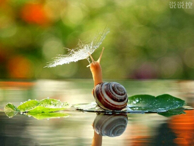 空間個(gè)性說說帶圖片7