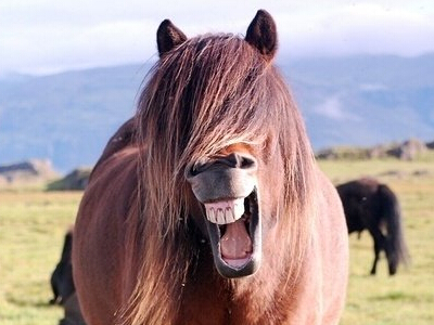 微信搞笑說說點(diǎn)開全文，QQ空間說說展開全文