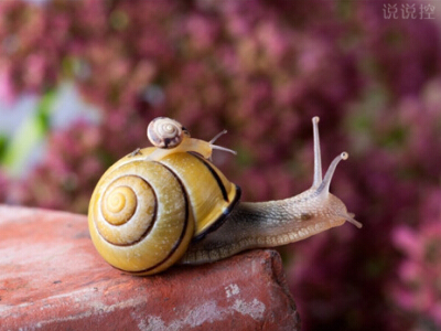 超拽個性說說帶圖片6