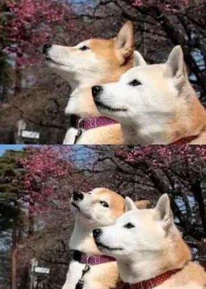 最適合發(fā)說(shuō)說(shuō)的圖片，適合寫說(shuō)說(shuō)的圖片大全5