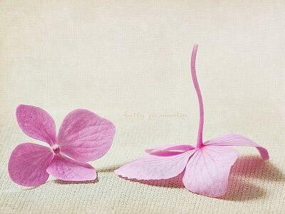 傷感唯美說說帶圖片，唯美傷感的句子圖片7