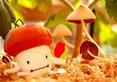 超級搞笑的說說，超級搞笑的段子