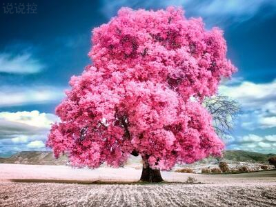 傷感唯美圖片說說，唯美傷感說說配圖6