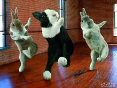 搞笑逗比說說大全，適合發(fā)說說的逗比段子