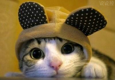 個(gè)性說說帶圖片5