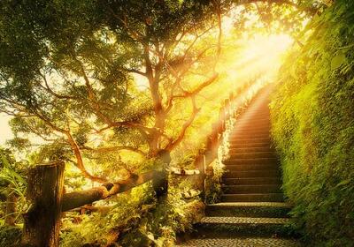 勵志的說說帶圖片，勵志的句子圖片6