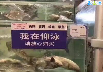 QQ搞笑說說帶圖片，空間搞笑說說帶圖片6