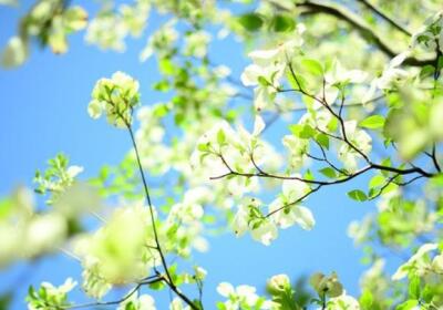 有意境說說帶圖片，意境說說配圖片3