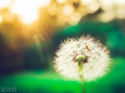 經典語句帶圖片，經典語錄圖片大全2