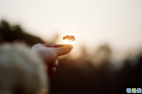 2019情人節(jié)簡(jiǎn)單暖心的愛(ài)情說(shuō)說(shuō)句子 情人節(jié)愛(ài)的寄語(yǔ)情侶之間1