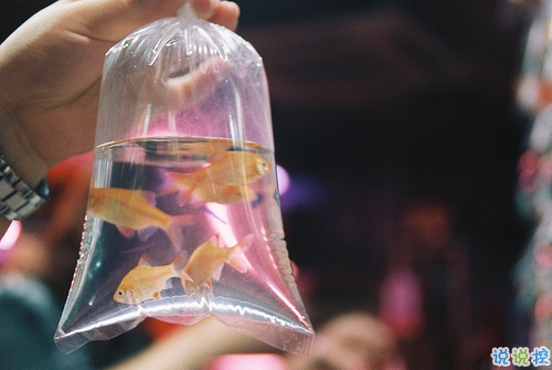 一個人被愛情傷透了的說說 被感情傷害的說說心情短語1