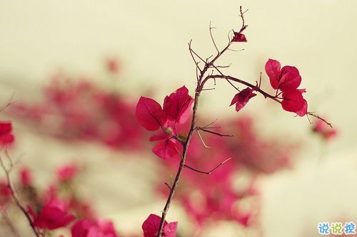 出去玩的心情說說簡短2019 出去游玩的微信朋友圈說說2