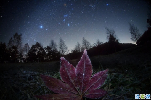 2019干凈唯美的說(shuō)說(shuō)帶圖片 最優(yōu)美好聽(tīng)的朋友圈唯美說(shuō)說(shuō)2