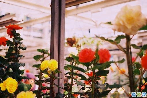 獨(dú)一無(wú)二微信個(gè)性說(shuō)說(shuō)帶圖片 路那么長(zhǎng)少一些人也無(wú)妨9