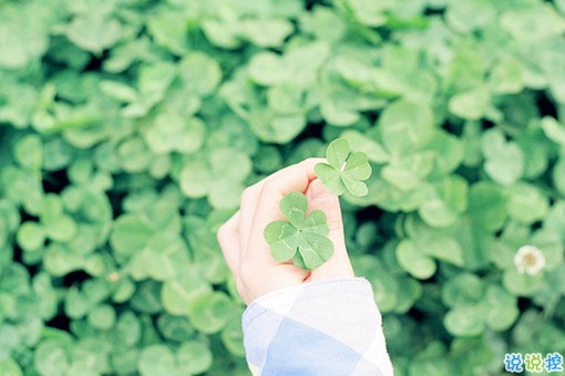 人生哲理句子大全唯美簡(jiǎn)短 迷茫人必看的哲理句子1