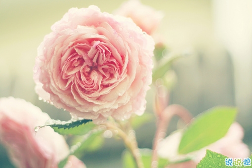 微信朋友圈干凈簡單的句子 無聊發(fā)朋友圈的簡短句子合集1