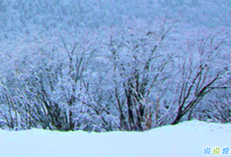 2019小寒節(jié)氣的說說大全唯美有詩意 小寒節(jié)氣發(fā)朋友圈的說說11