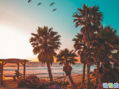 男生朋友圈晚安說說配圖簡短 qq男生晚安說說大全13