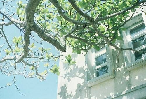 關(guān)于成長(zhǎng)人生和愛情的美到讓人心碎的說說帶圖片10